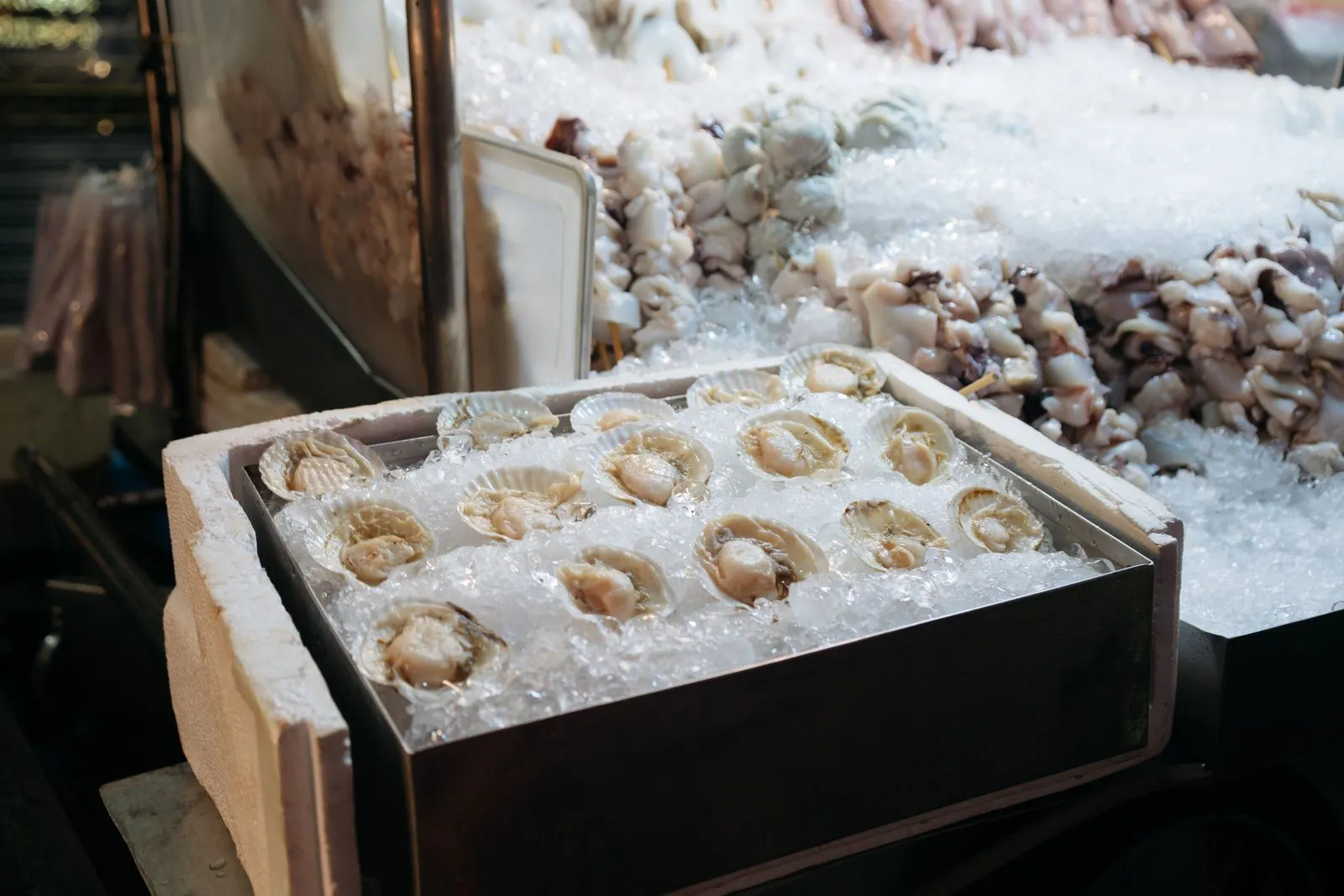 How to Store Live Shellfish at Home